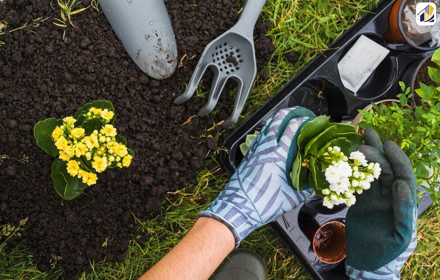 Front Yard Landscaping Ideas With Rocks And Mulch Ideas