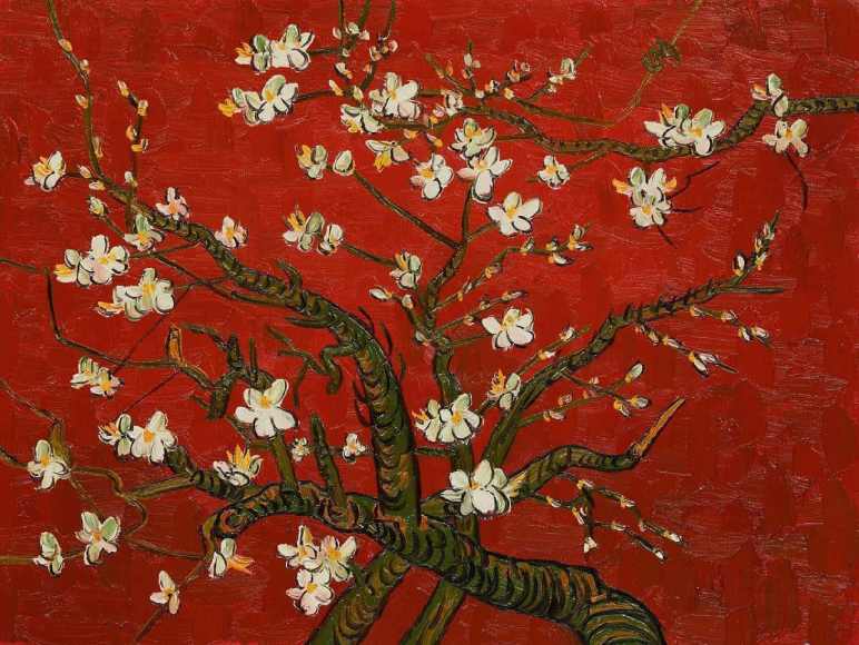 Almond Bloom Red Wallpaper 